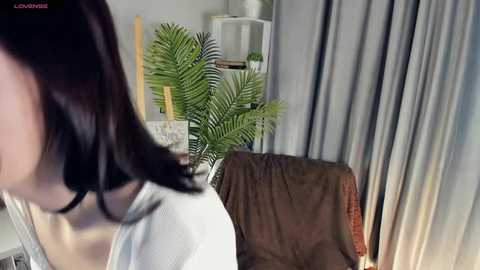 alisonballek @ stripchat on 20260126