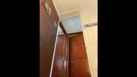 bunny_sexy01 @ stripchat on 20260126