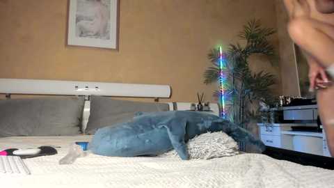 diamond_d_ @ stripchat on 20260126