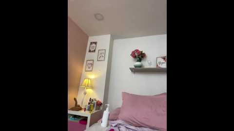 lauraraider @ stripchat on 20260126