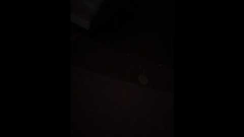 lilybeeth @ stripchat on 20260126