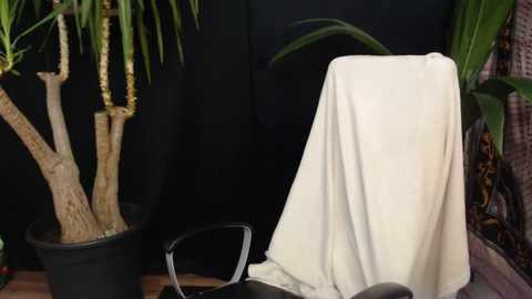 lola_sky@xh @ stripchat on 20260126