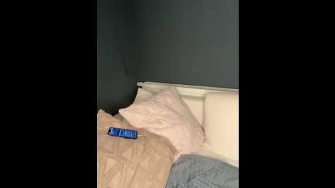 nola_luxx_offiziell @ stripchat on 20260126