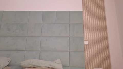 rosadream @ stripchat on 20260126