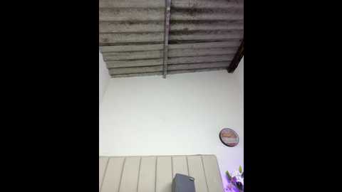 violetpearson @ stripchat on 20260126