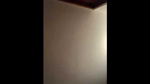 briannabrandt @ stripchat on 20260127