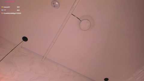 sophicarters @ stripchat on 20260127