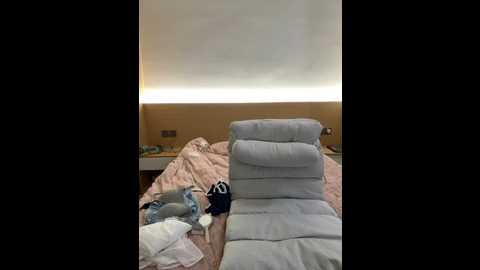 _xiaoxinxin_ @ stripchat on 20260128