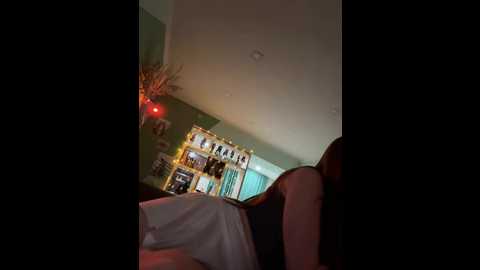 ameliamooon @ stripchat on 20260128