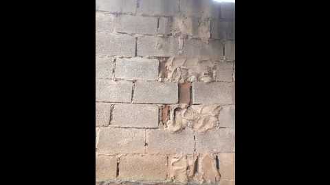 bald_gee @ stripchat on 20260128