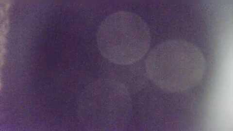 djjfnfczks @ stripchat on 20260128