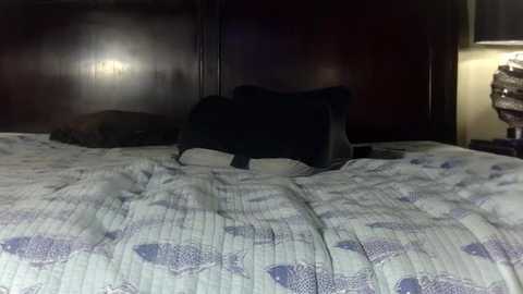 hornylouisewil @ stripchat on 20260128