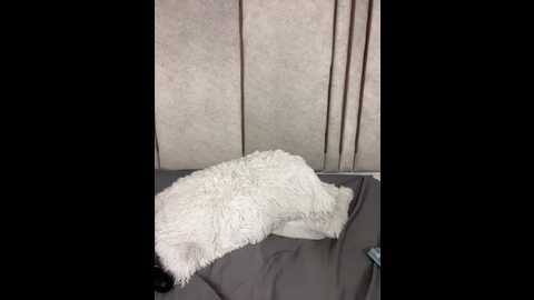 lilithdya @ stripchat on 20260128