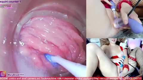 marybrook1 @ stripchat on 20260128