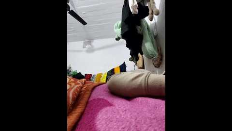 xx_priti @ stripchat on 20260128