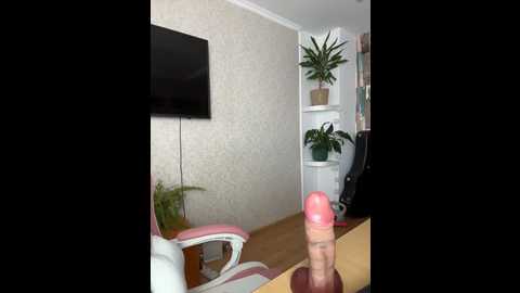 zenaidasasha @ stripchat on 20260128