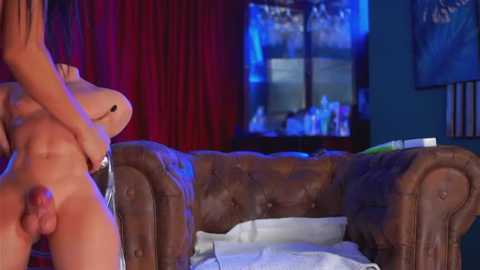 astridvex @ stripchat on 20260129