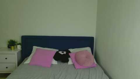 cutie_wuwu @ stripchat on 20260129