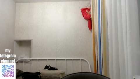 petralprime @ stripchat on 20260129