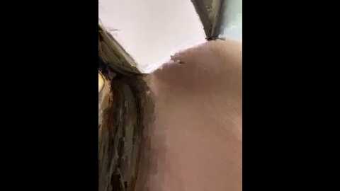 ada_xx @ stripchat on 20260130