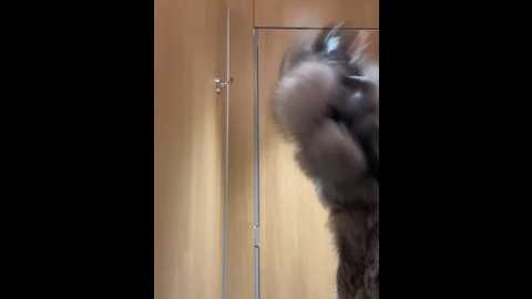 ilariea_girl @ stripchat on 20260130