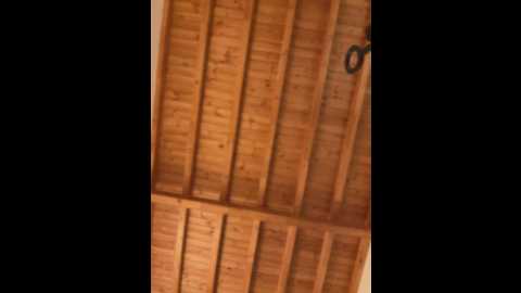 marcimaa @ stripchat on 20260130