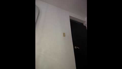 anita_vega @ stripchat on 20260131