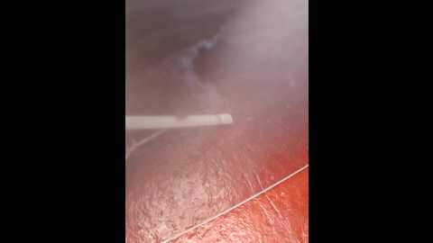 slender00 @ stripchat on 20260131