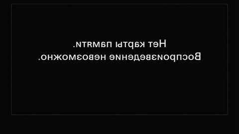 elysemangina @ stripchat on 20260201