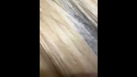 alyssafoxx_ @ stripchat on 20260203