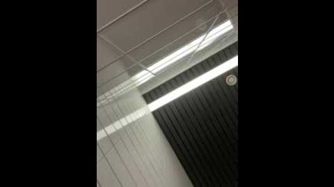 liv_fay @ stripchat on 20260204