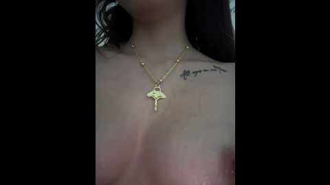 anita_vega @ stripchat on 20260205