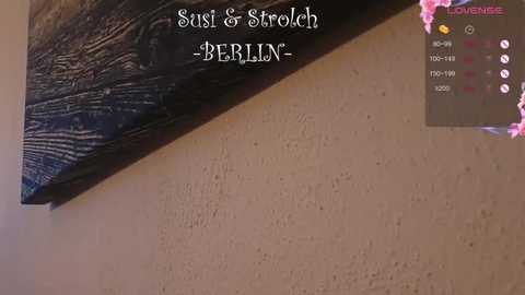 susi_und_strolch