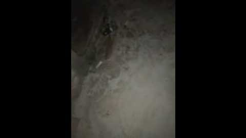 alyssafoxx_ @ stripchat on 20260209