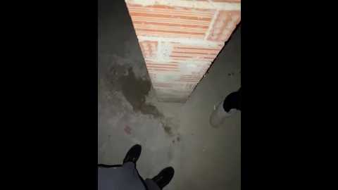 alyssafoxx_ @ stripchat on 20260210