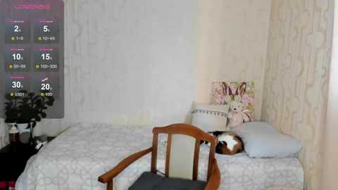 elysia_kiss @ stripchat on 20260210