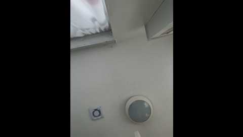 georgialacex @ stripchat on 20260210