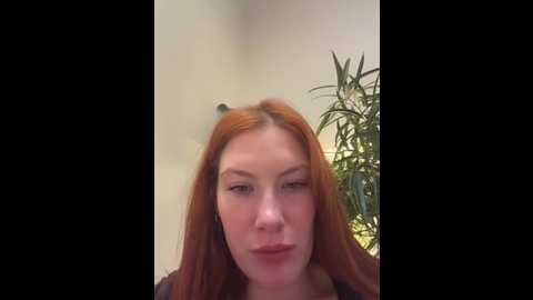 liv_fay @ stripchat on 20260210