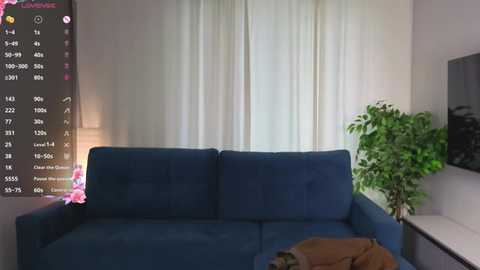 marabuttrey @ stripchat on 20260210