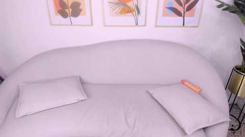 salmma_habibi @ stripchat on 20260210