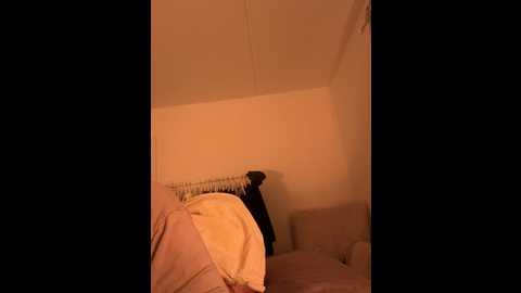 swedishastrid @ stripchat on 20260210