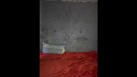 hotcouch @ stripchat on 20260211