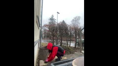 queenadri @ stripchat on 20260211