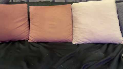 ___lina__ @ stripchat on 20260212