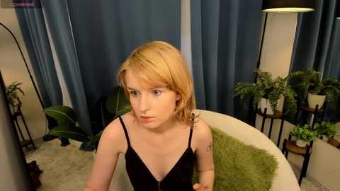 akimo_ @ stripchat on 20260212