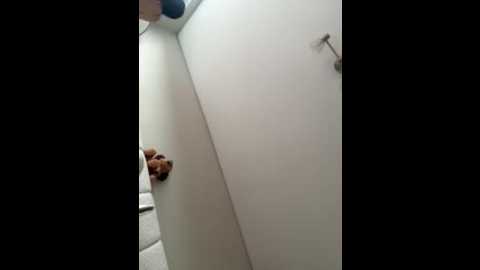 babykathy @ stripchat on 20260212