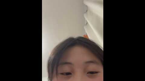 lxr77887 @ stripchat on 20260212