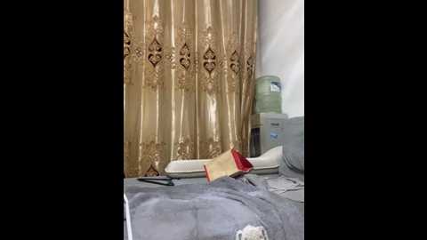 lxr77887 @ stripchat on 20260212