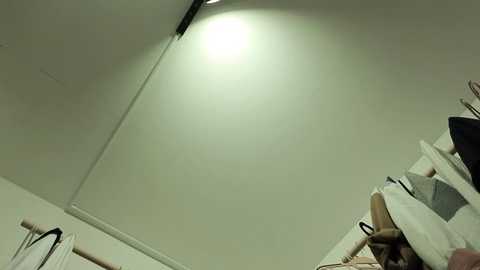 rosadream @ stripchat on 20260212