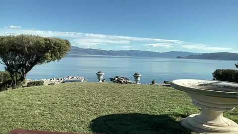 new_bad_bunny @ stripchat on 20260213